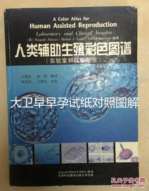 大衛早早孕試紙對照圖解,教你怎么看結果是不是陽性