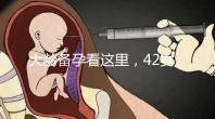 大齡備孕看這里,42歲取卵2個做試管嬰兒能成功嗎?