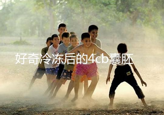 好奇冷凍后的4cb囊胚移植幾天著床看這，第七天別還不敢測