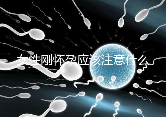 女性剛懷孕應該注意什么？