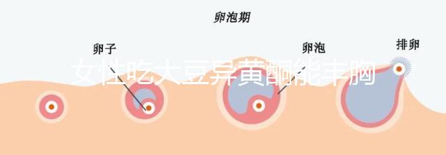 女性吃大豆異黃酮能豐胸？別再被這些虛假?gòu)V告給忽悠了