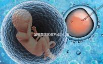 如果囊胚移植不成功，身體會有什么反應？除腹痛外，這三個方面也需要注意