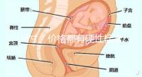 尺寸、價格都有硬性標準，選擇雙胞胎嬰兒床決不可大意！