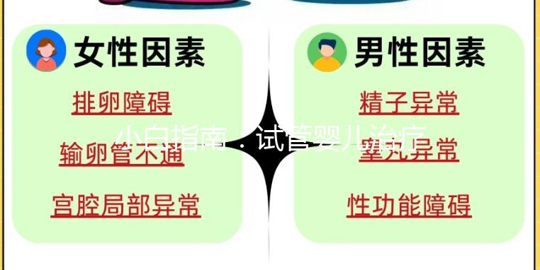 小白指南：試管嬰兒治療五步，檢查促排 胚胎培養