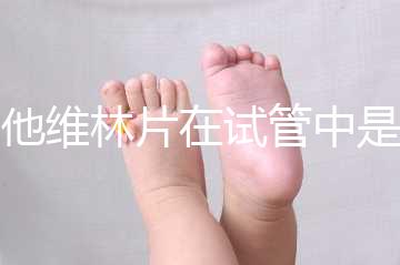 屈他維林片在試管中是否有副作用，導致胎停不是空穴來風