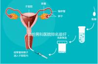 廊坊男科醫(yī)院排名最好,醫(yī)院出爐!廣陽這些機(jī)構(gòu)可以排隊(duì)