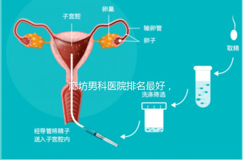 廊坊男科醫(yī)院排名最好，醫(yī)院出爐！廣陽這些機(jī)構(gòu)可以排隊(duì)