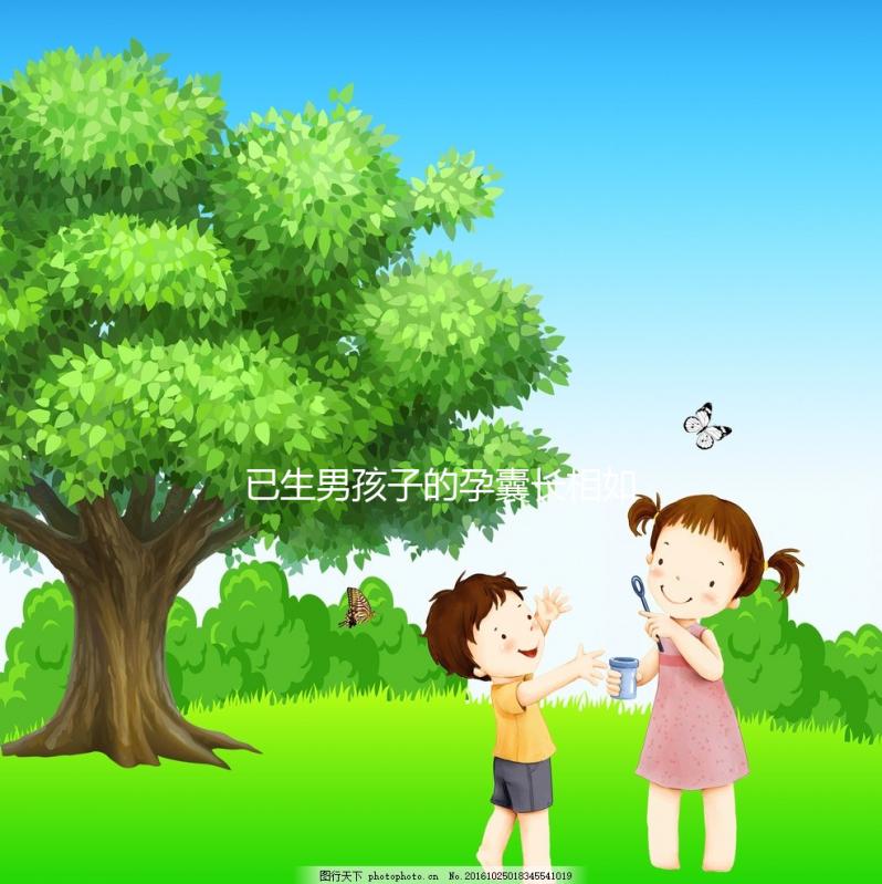 已生男孩子的孕囊長相如此怪異，圖片參考對照看看