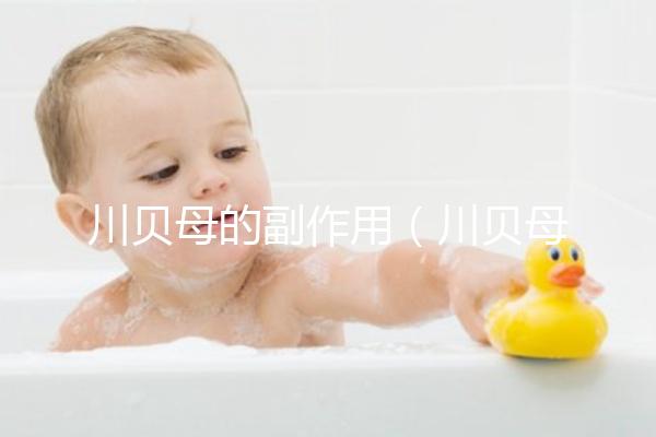 川貝母的副作用（川貝母的副作用有哪些）