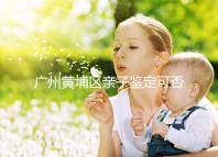 廣州黃埔區親子鑒定可否直接上戶口，看完2024政策就明了