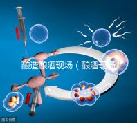 釀造釀酒現(xiàn)場(chǎng)(釀酒現(xiàn)場(chǎng)圖片)