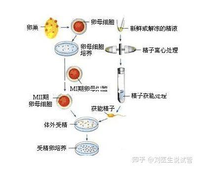 選對成功一半！來看看海南哪家醫院能做三代試管嬰兒