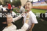 雷公藤的功效與作用(雷公藤副作用和危害)