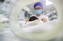 雅士利1段奶粉一桶價格公布，配方表豐富就值這價