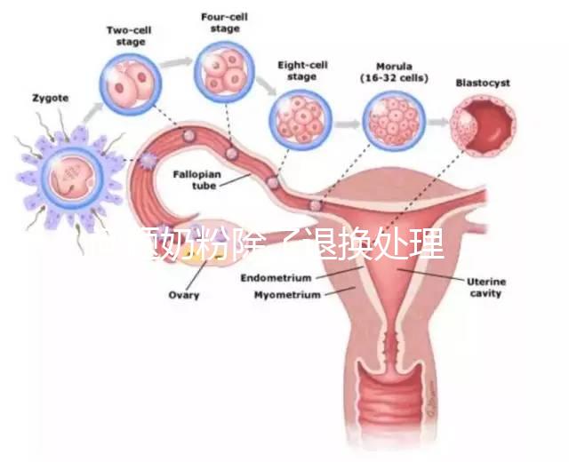 問題奶粉除了退換處理，還可要求十倍標準的賠償金