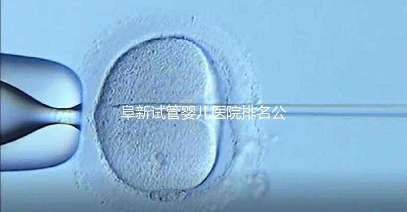 阜新試管嬰兒醫(yī)院排名公開，附2024年助孕費(fèi)明細(xì)