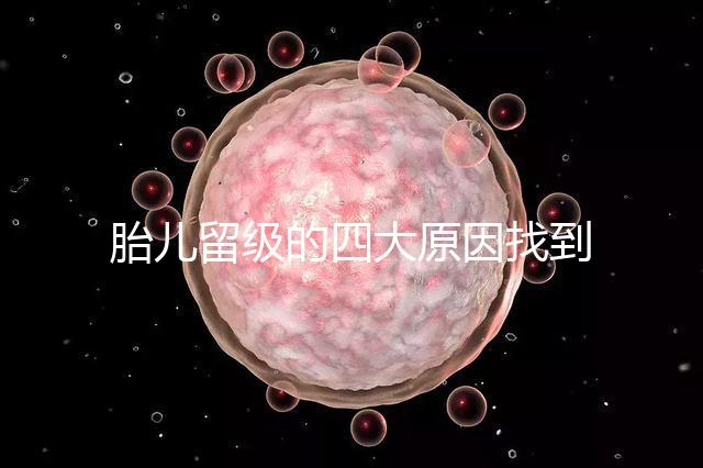 胎兒留級的四大原因找到了！多半和媽媽太懶不運動有關系