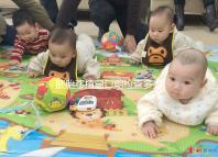 胚胎移植窗口期檢查多少錢(qián)答案在這,附era檢測(cè)費(fèi)用快收藏