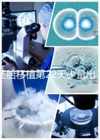 胚胎移植第22天少量出血怎么辦?3種保胎措施你值得擁有