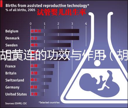 胡黃連的功效與作用(胡豆連的功效與作用)