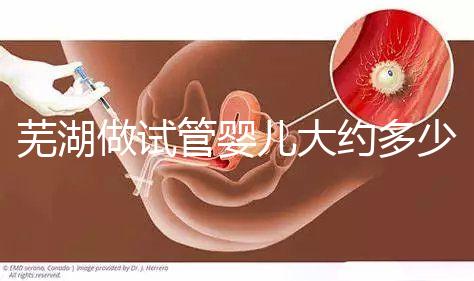 蕪湖做試管嬰兒大約多少錢?一次成功率高嗎?