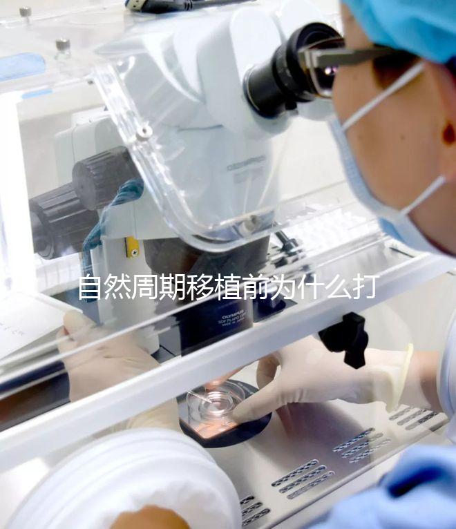 自然周期移植前為什么打絨促？作用不僅是提升妊娠率