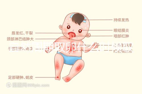 自然周期取卵什么時(shí)候取?最佳時(shí)間應(yīng)控制在這個(gè)時(shí)候