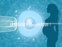 自然周期不能隨意取卵!滿足3點要求才能順利進(jìn)行