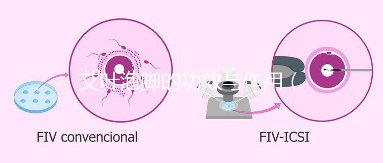 艾葉泡腳的功效與作用（艾葉泡腳的功效與作用泡腳的好處）