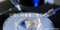 讓我們來看看甘肅2024年生四胎的補(bǔ)貼政策符合條件的可領(lǐng)