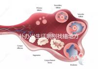 補辦出生證明別找錯地方,備齊資料到這些部門辦理不白跑!