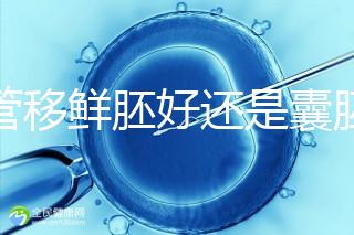 試管移鮮胚好還是囊胚好(3天鮮胚和5天囊胚的區別)