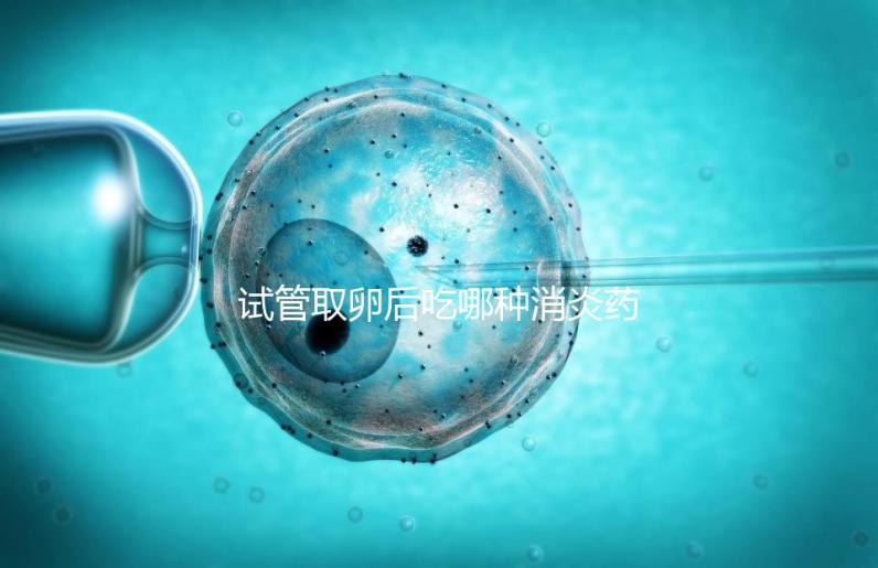 試管取卵后吃哪種消炎藥?婦科炎癥常用這6種藥物