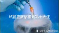 試管囊胚移植到第十天還是白板別擔心，放松心態等逆襲吧！
