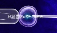 試管囊胚d5天與d6天哪個好?你們想知道的區別在這里