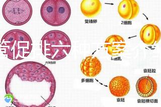 試管促排六種方案介紹，超詳細(xì)??！