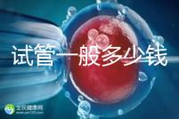 試管一般多少錢