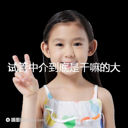 試管中介到底是干嘛的大揭秘!不合法機構真不可靠