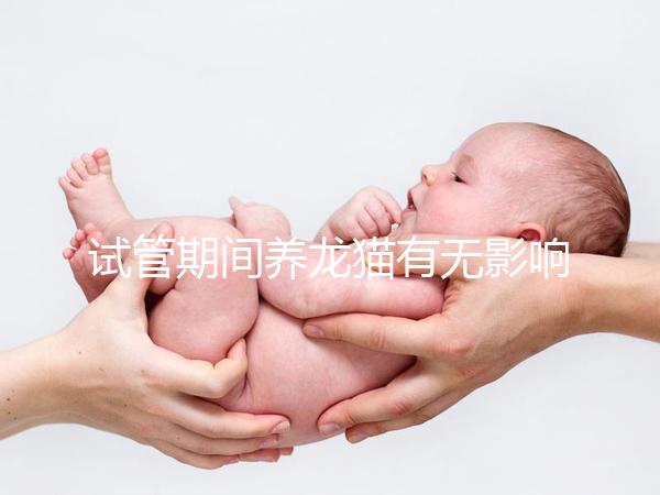 試管期間養(yǎng)龍貓有無影響剖析，是否胎停、流產(chǎn)取決這幾點