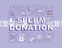 試管嬰兒第二代（試管嬰兒第二代和第三代有什么區別）