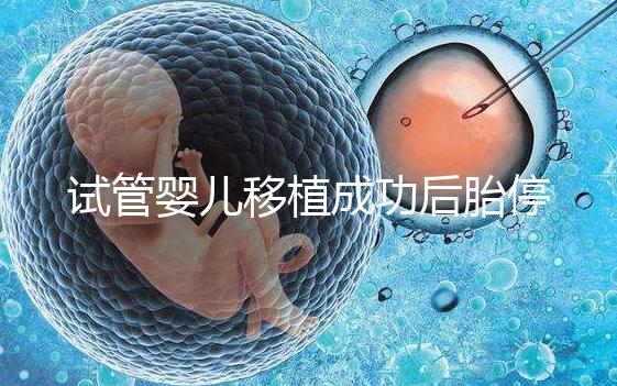 試管嬰兒移植成功后胎停（試管嬰兒為什么會(huì)胎停）