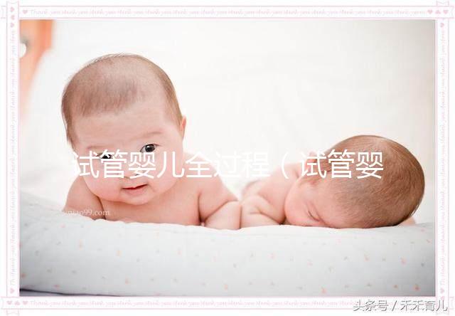 試管嬰兒全過程(試管嬰兒全過程應多少天完成)