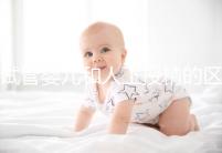 試管嬰兒和人工授精的區(qū)別(試管嬰兒和人工授精的區(qū)別都是夫妻兩親生的嗎)