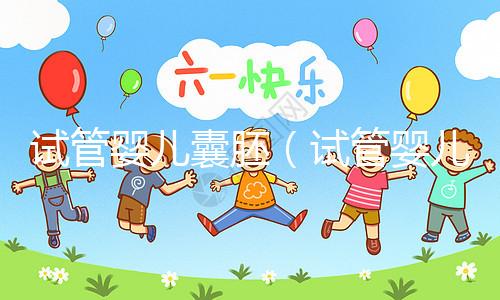 試管嬰兒囊胚（試管嬰兒囊胚質量等級）