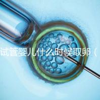試管嬰兒什么時(shí)候取卵(試管嬰兒什么時(shí)候取卵和移植)