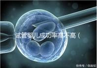 試管嬰兒成功率高不高（供卵試管嬰兒成功率高不高）