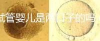 試管嬰兒是兩口子的嗎（試管嬰兒是兩夫妻的孩子嗎）