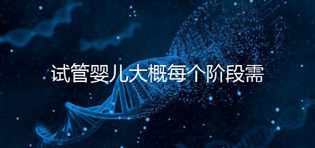 試管嬰兒大概每個階段需要花到多少錢呢？