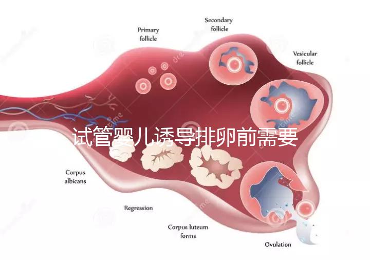 試管嬰兒誘導(dǎo)排卵前需要做哪些準(zhǔn)備工作？