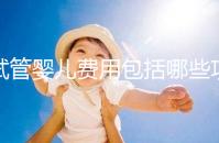 試管嬰兒費用包括哪些項目(試管嬰兒費用包括哪些項目呢)